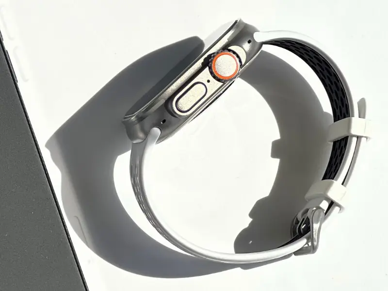 Curele Apple Watch