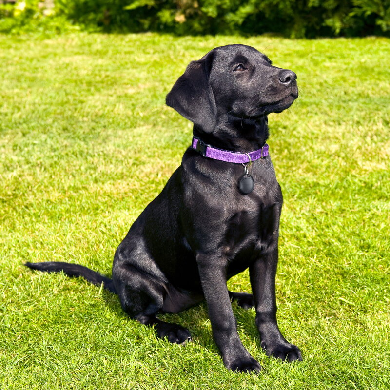 Locator HoloTag cu suport Apple Find My 4 buc.